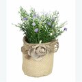 Youngs 6 in. Artificial Plants in Fabric Basket 12251
